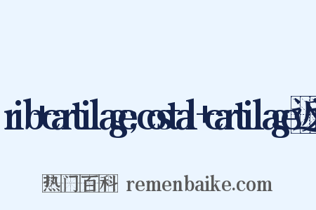 rib+cartilage;costal+cartilage近义词是什么意思的图片